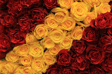 red and yellow roses in a wedding arrangement