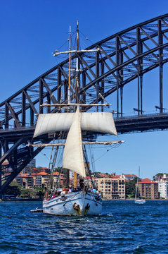 Tallship Soren Larsen and Sydney Harbour Bridge 
