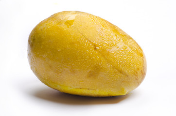 Fresh Mangoes Isolated in white backgorund