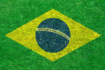 Brasilien Rasen