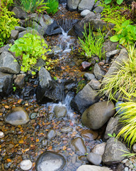 Bubbling brook water featuer