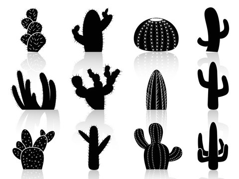 cactus Silhouettes Stock Vector | Adobe Stock