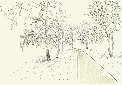 Summer landscape