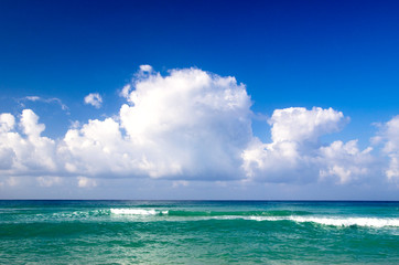 Fototapeta premium tropical sea