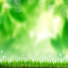 green and blue abstract defocused background with sunshine