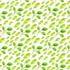 Watercolor seamless pattern with green leaf