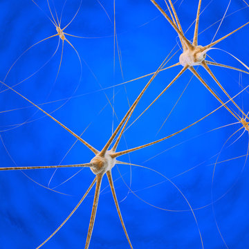 Neurons - 3D Render