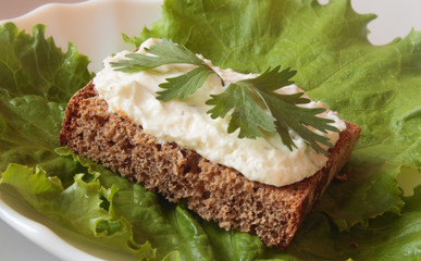 sandwich from rye bread with greens