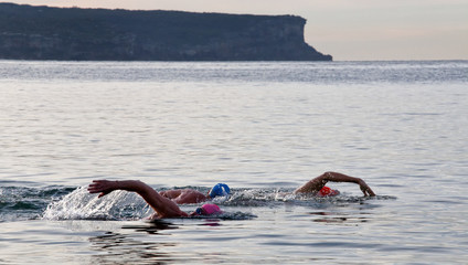 Ocean swim at Balmoral, Sydney