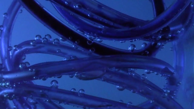 Blue dye in tube water