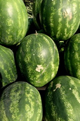 Wassermelonen