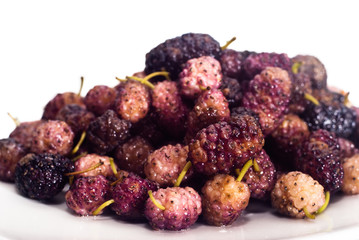 Fresh Mulberry