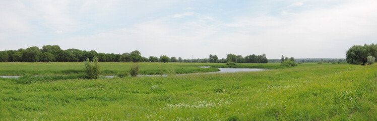 Fototapeta na wymiar panorama of the river in the summer day