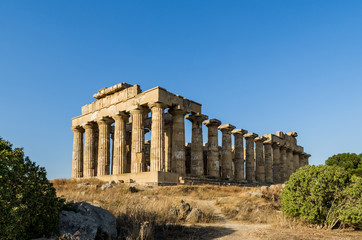 Fototapeta premium Tempio Selinunte