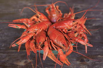 Dish with boiled crawfish on a wooden table.