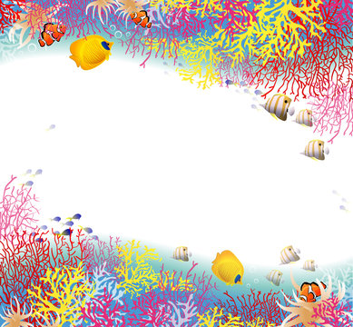 background of coral