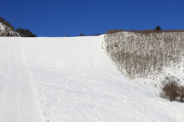 Fototapeta premium スキー場