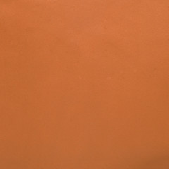 Fototapeta premium Orange leather