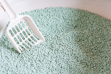 Cat's litter box