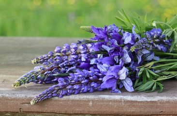 purple iris and lubin flower