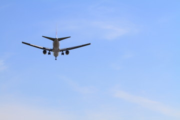 Fototapeta na wymiar 着陸する飛行機(B767)