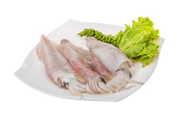 Raw calamari