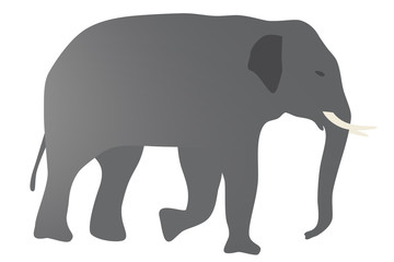 象のイラスト　右向き