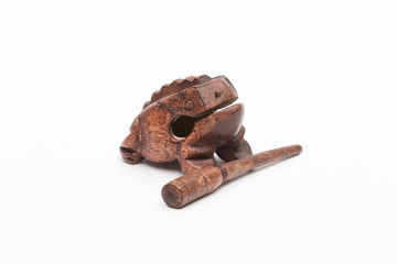 frog on the white background