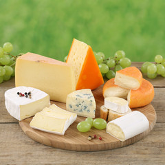 Käse wie Camembert, Bergkäse und Gouda auf Käseplatte