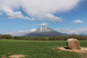 羊蹄山と草原と牧草ロール