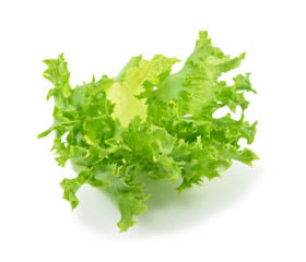 fresh lettuce leaves isolated on white