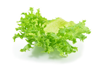 fresh lettuce leaves isolated on white