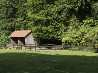 Stall für die Esel mit grüner Weide und Holzgatter im Sommer bei Sonnenschein im Heimat-Tierpark...