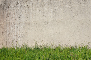 Hintergrund verputzte Wand und Wiese