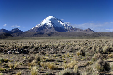 Sajama