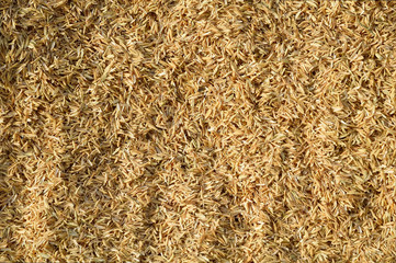 Rice husks
