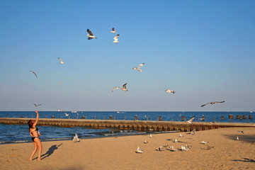girl playing with seagulls at Chicago beach