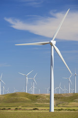 Fototapeta premium Wind energy