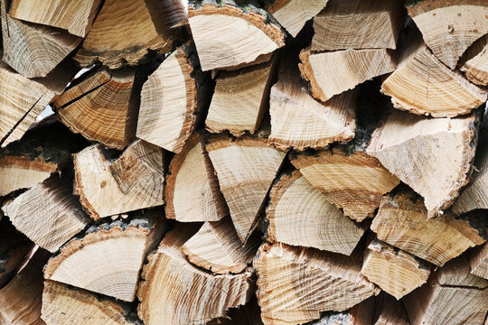 Dry chopped firewood logs in pile.