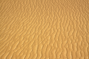 Fototapeta na wymiar Sand texture in desert made by wind