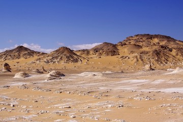 Black and white desert