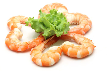 shrimp isolated on white background
