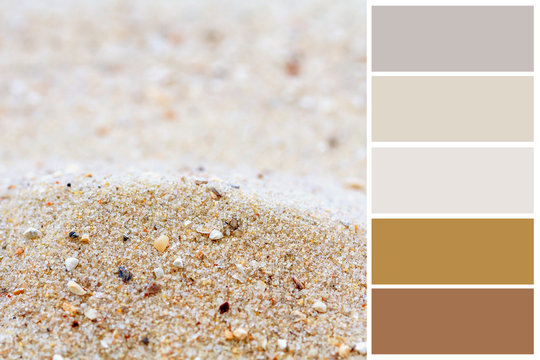 Sand background color palette with complimentary swatches.
