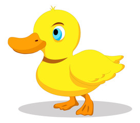 Cute baby duck cartoon