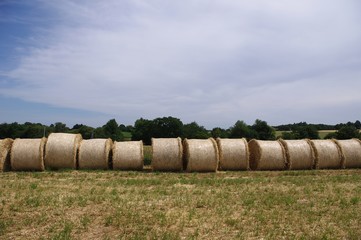 Les rouleaux de paille