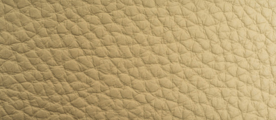 leather macro shot