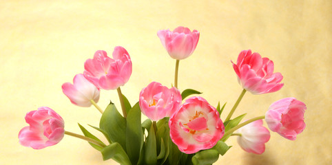 Tulpen auf dem goldenem Hintergrund 2