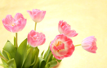 Fototapeta premium Blumen zum verschenken