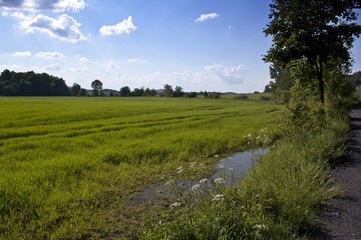 Beautiful landscape with fields and hills