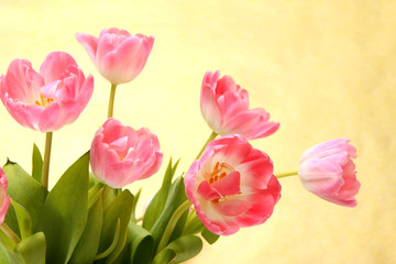 Hintergrund mit Tulpen